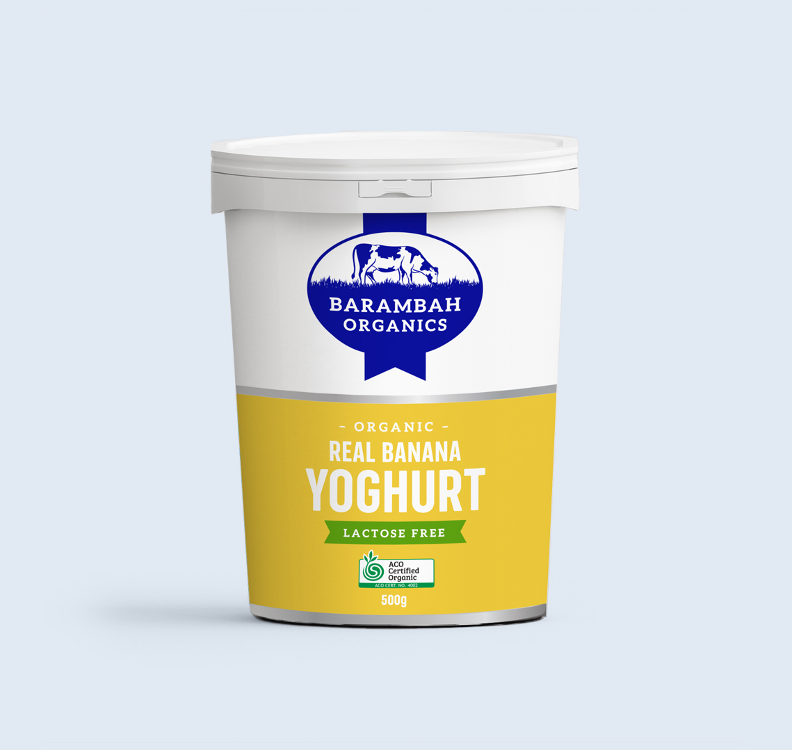 500g Real Banana Yoghurt - Organic Natural Yoghurt - Barambah Organics