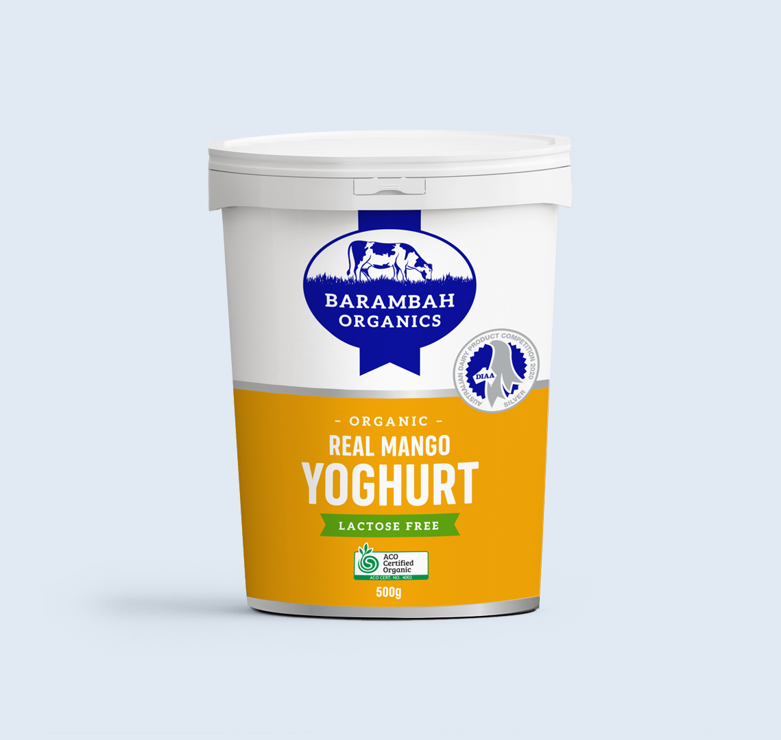 500g of Real Mango Yoghurt - organic natural yoghurt - Barambah Organics