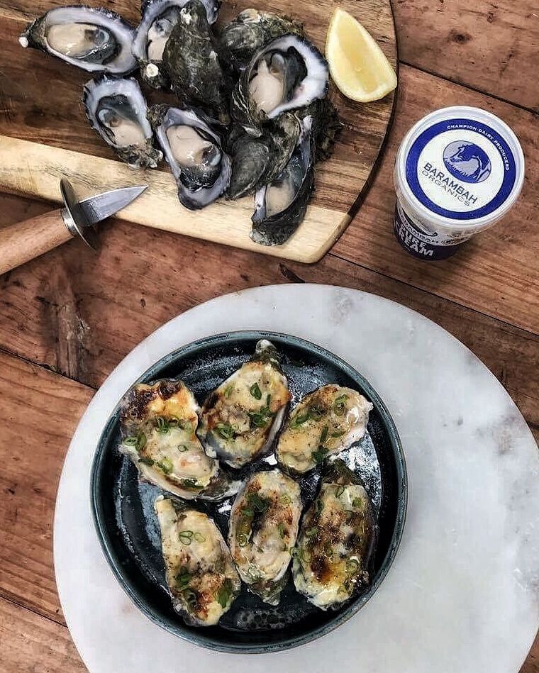 Healthy Oyster Mornay Recipe Barambah Organics