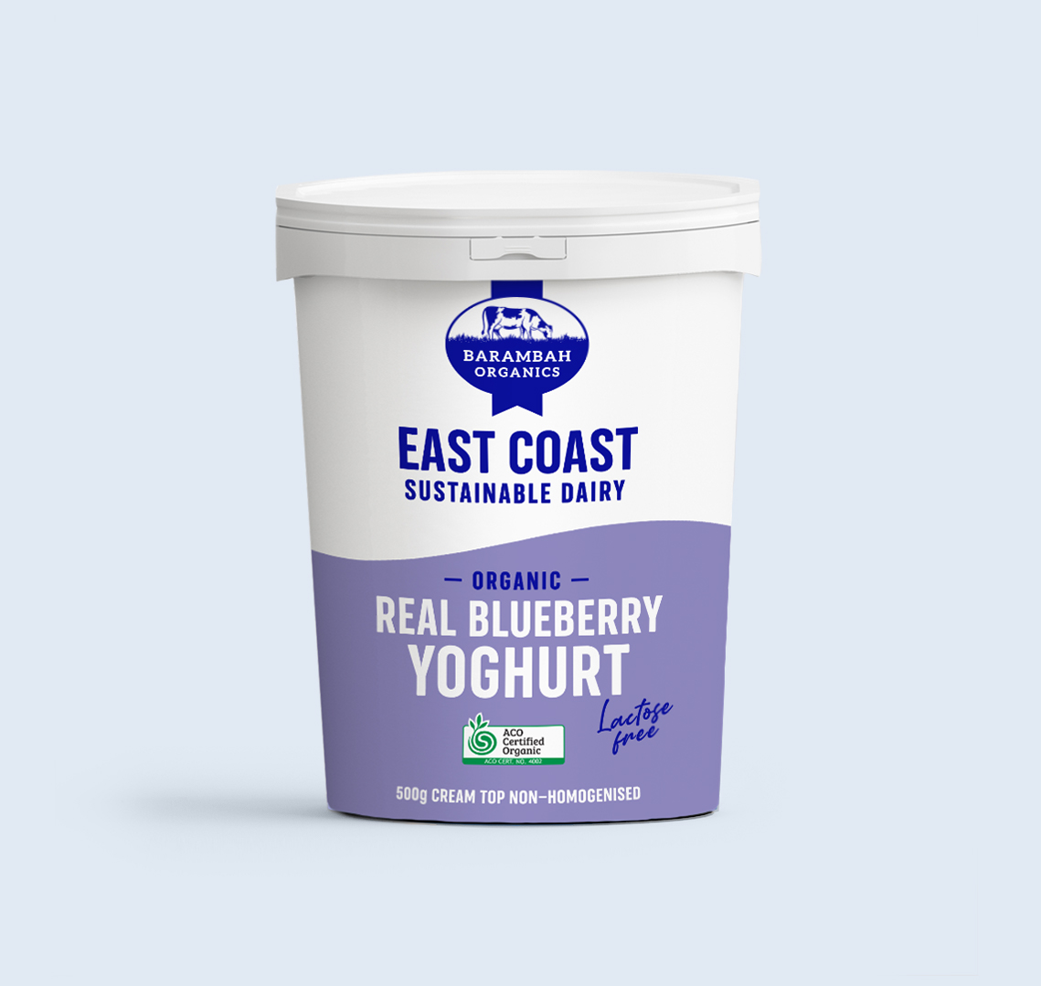 500g of Real Blueberry Yoghurt - Healthy Yoghurt - Barambah Organics